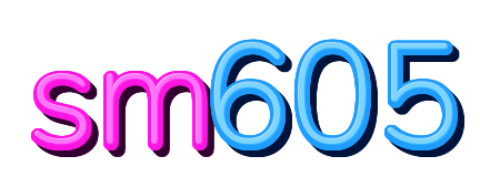 sm605 — logo kanal
